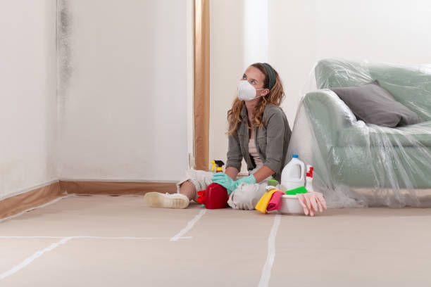 Reliable Commercial Mold Remediation contractor in Fort Lupton, CO by WQB Mold Removal